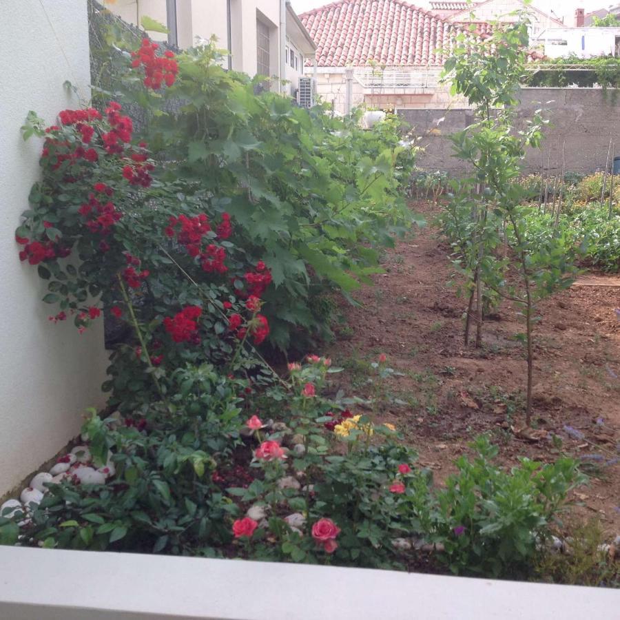 Appartement Hope *